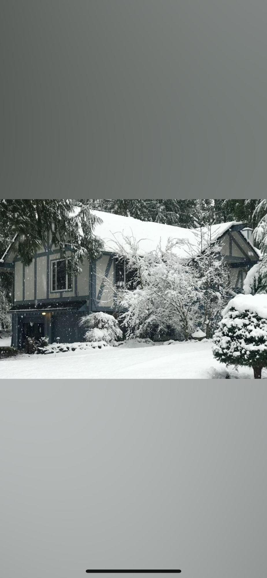 Cozy Bird House W Big Screen! Mount Hood Village 外观 照片